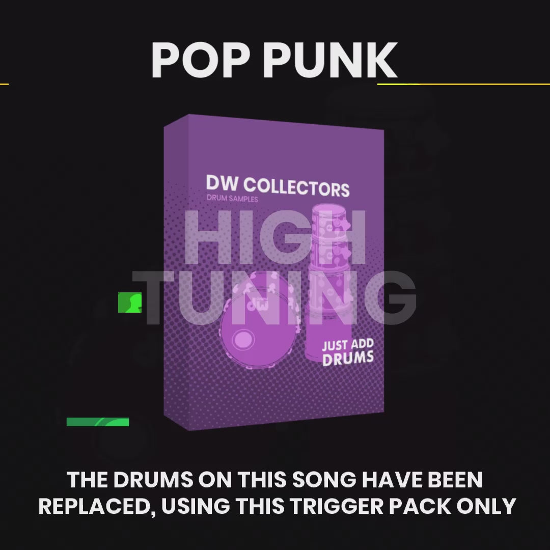 Everything Bundle