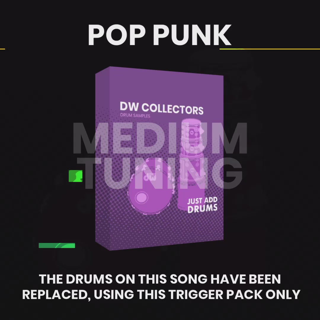 Everything Bundle