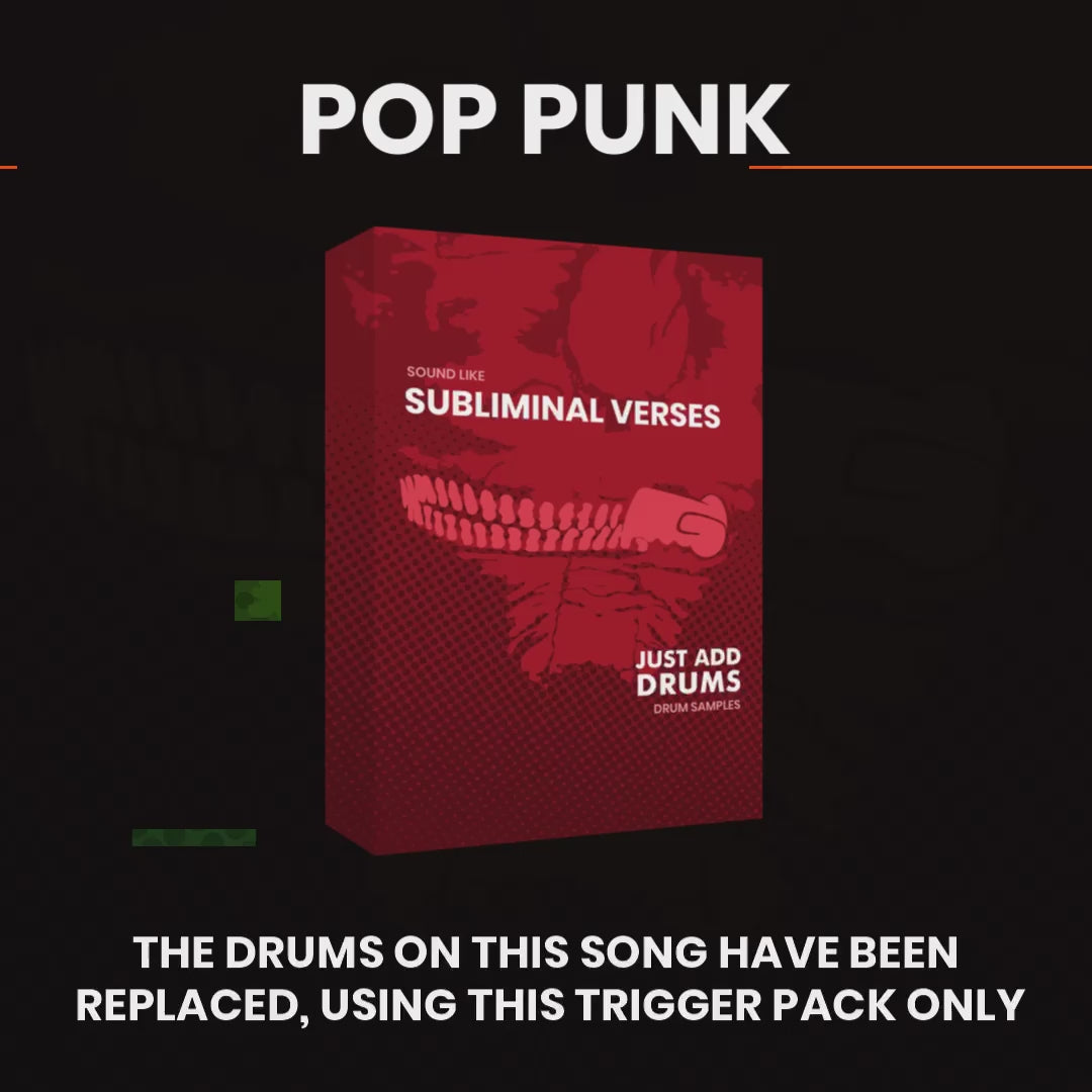 Everything Bundle