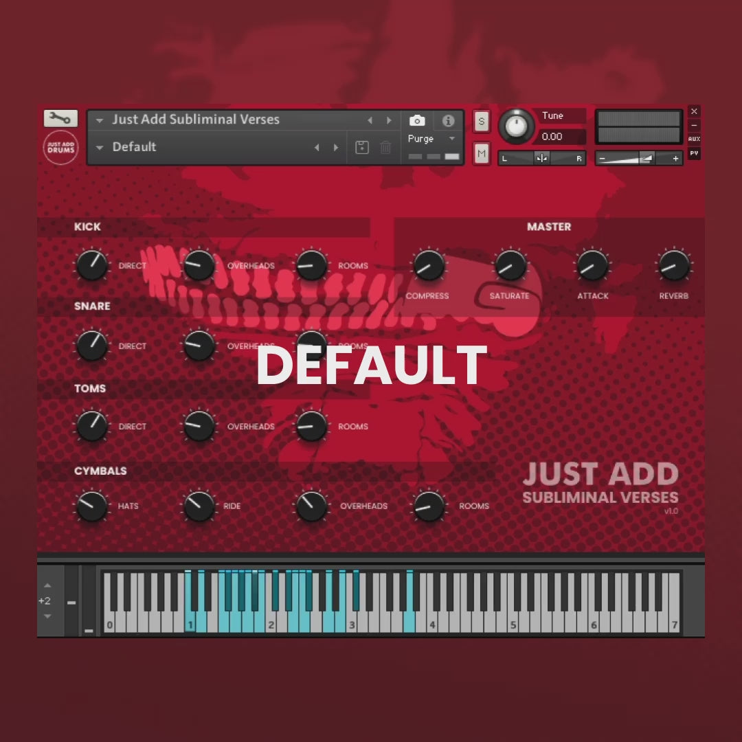 Everything Bundle