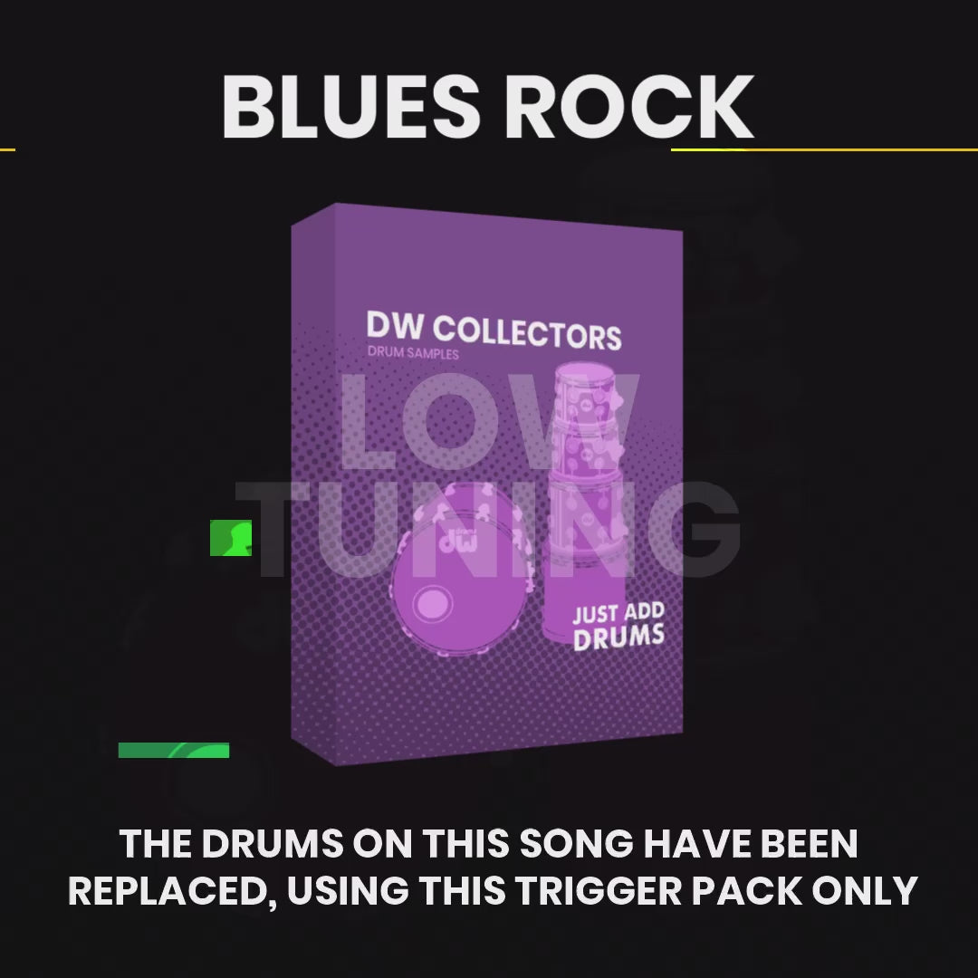 Everything Bundle